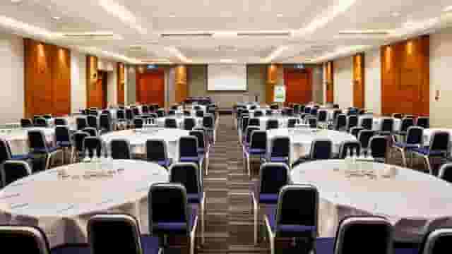 Catey Suite