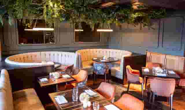 Lime Trees Suite