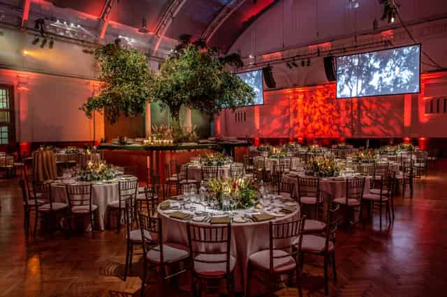 Wedding Reception