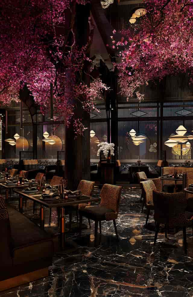 Nōshi Restaurants - image 3