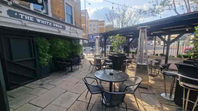 The White Swan - image 2