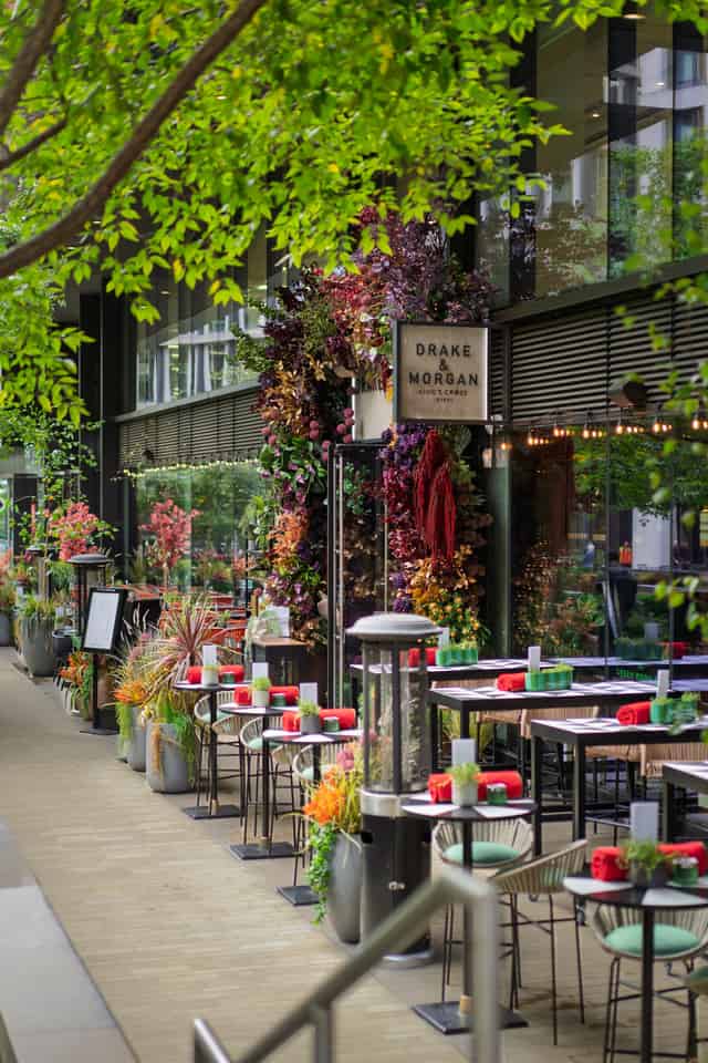 The Terrace