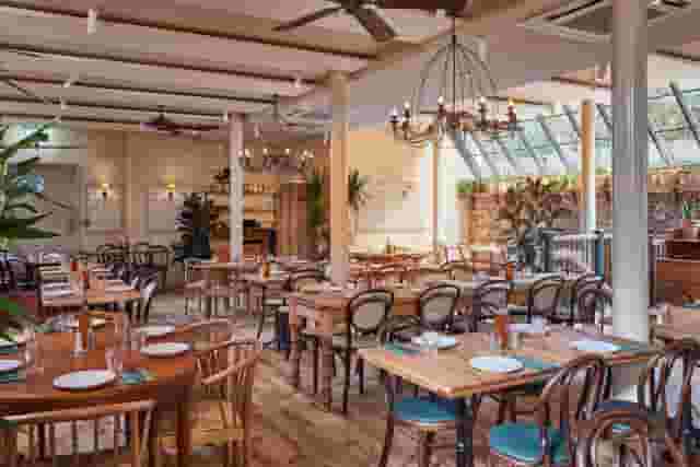 Casa do Frango - Mayfair