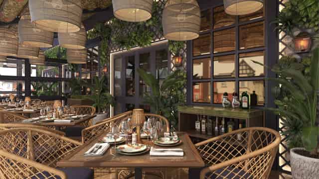The Shibeen