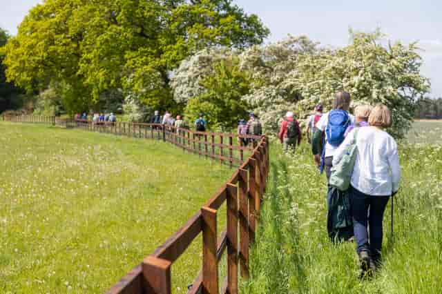 Trinity Park Events - image 2