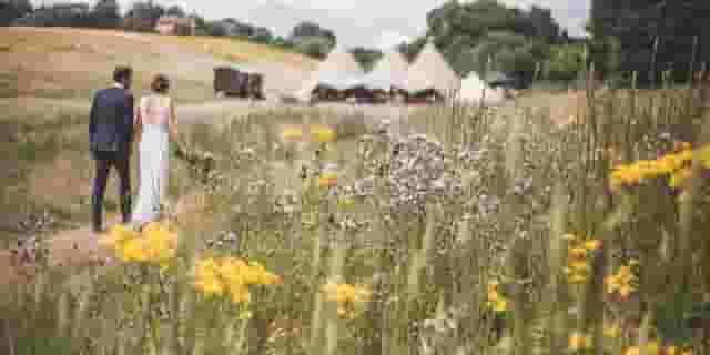 Sussex Party Field