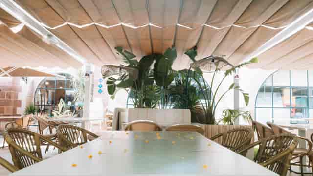 Biophilic private function area in PANAM for networking events and brunch receptions.