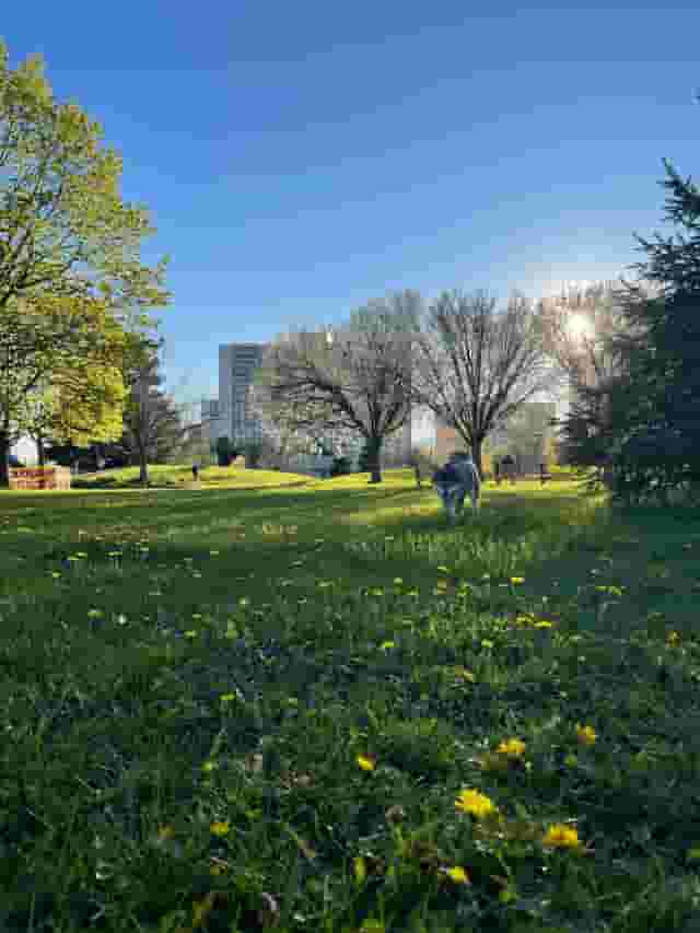 Larkhall Park