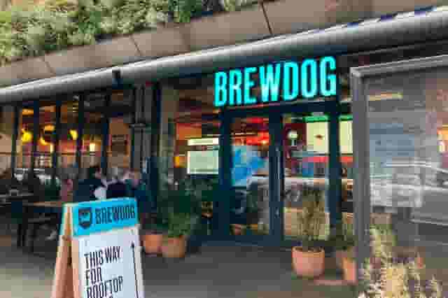 BrewDog Angel