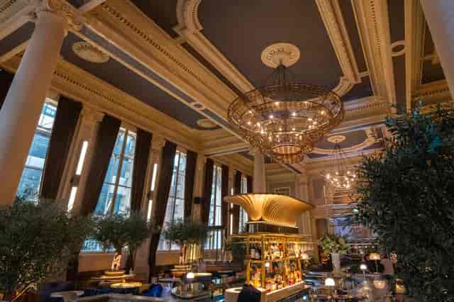 Light, Open Premium Restaurant - image 2