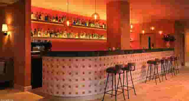Bar Area and Garden