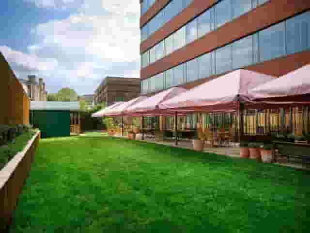 Bar Area and Garden