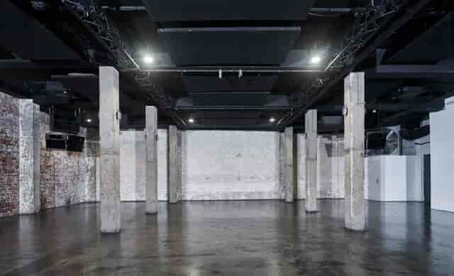 White Rabbit - image 3