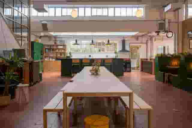 White Rabbit Studios