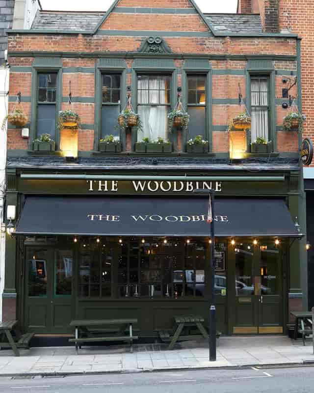 The Woodbine - image 2