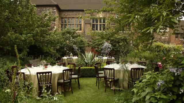 Forest Tavern - image 3