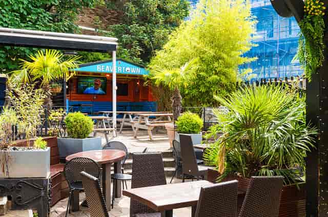 The Gipsy Moth - image 3