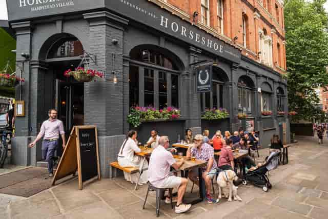 The Horseshoe - image 2