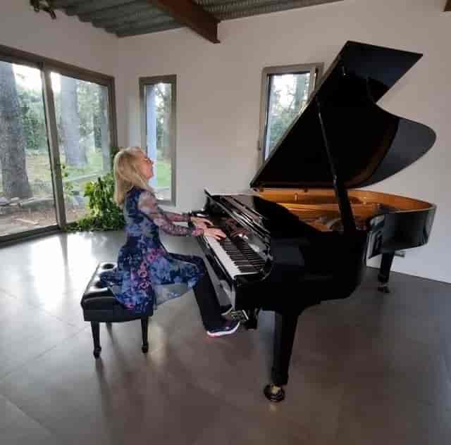 PianoMe - image 3
