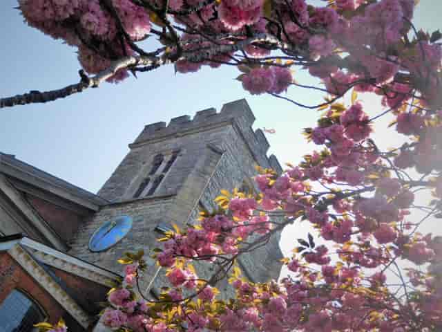 St Mary's Church Hall - image 3
