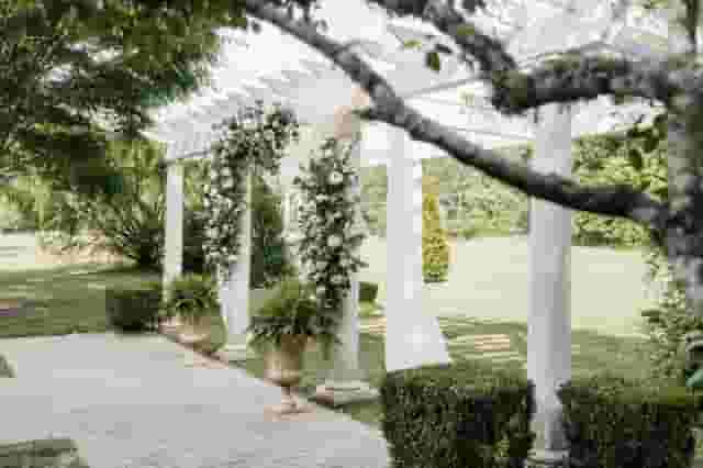 Junipers