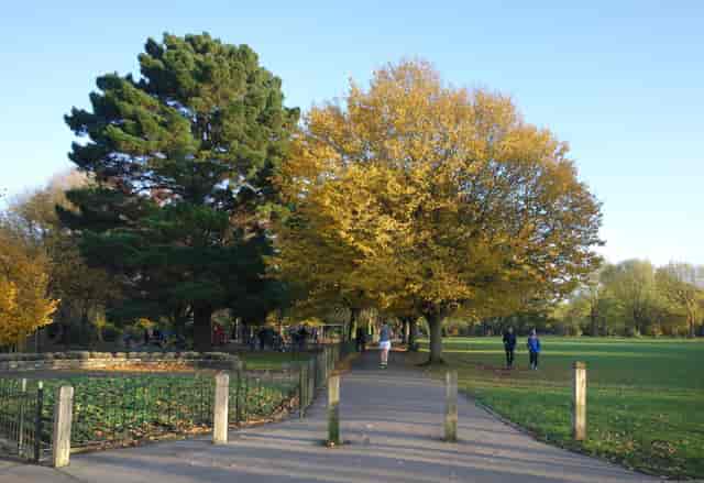 Wandsworth Parks and Commons - image 3