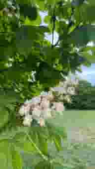 Derbyshire