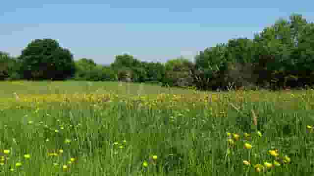 Fryent Country Park