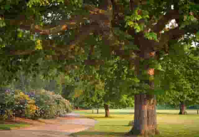 Dulwich Park