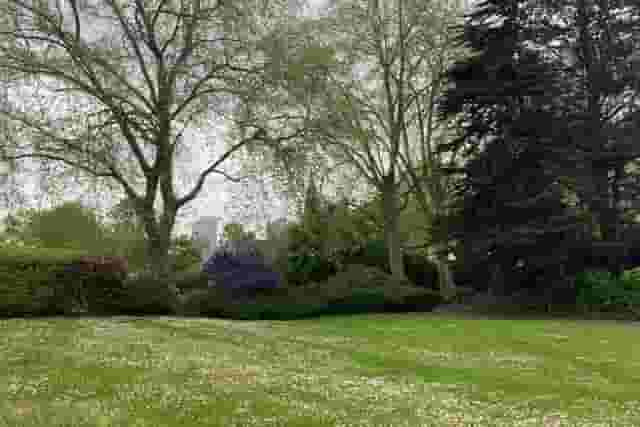 Bartlett Park