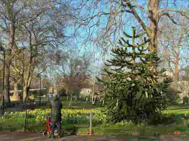 Southwark Parks
