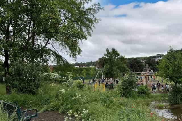 O R Tambo Recreation Ground - image 3