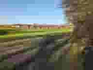 Derbyshire