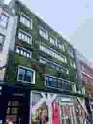 Central Manchester