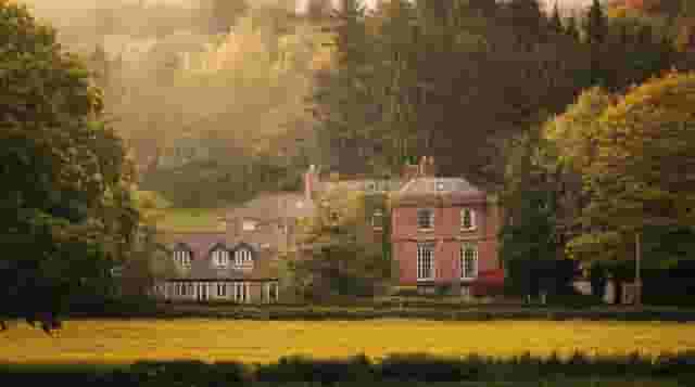 Chelsea Parkfields