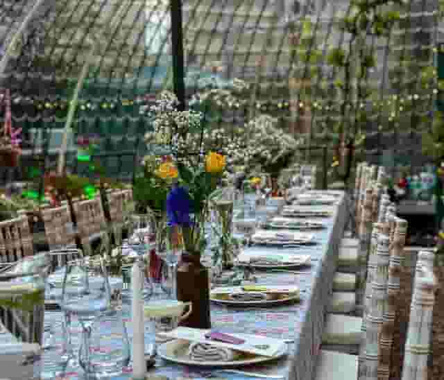 The Terrace