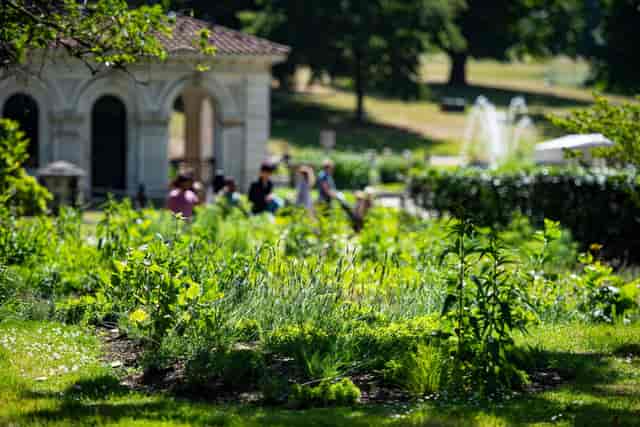 Flower Walk Lawns - image 3