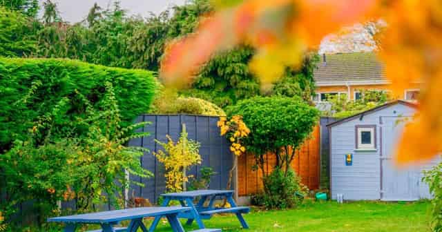 Rear Garden and Patio