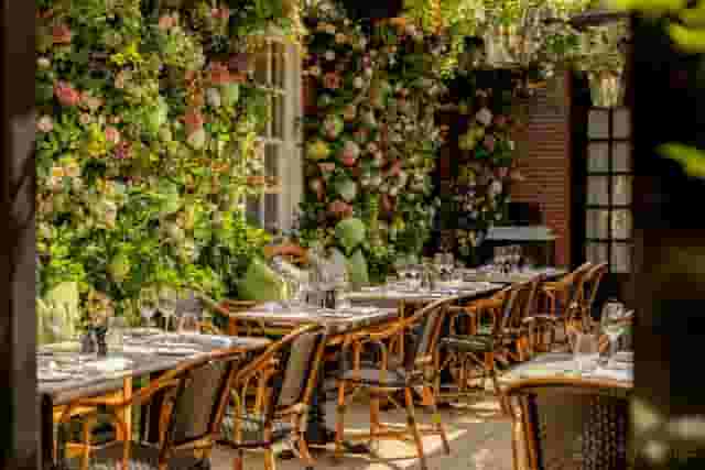 Dalloway Terrace