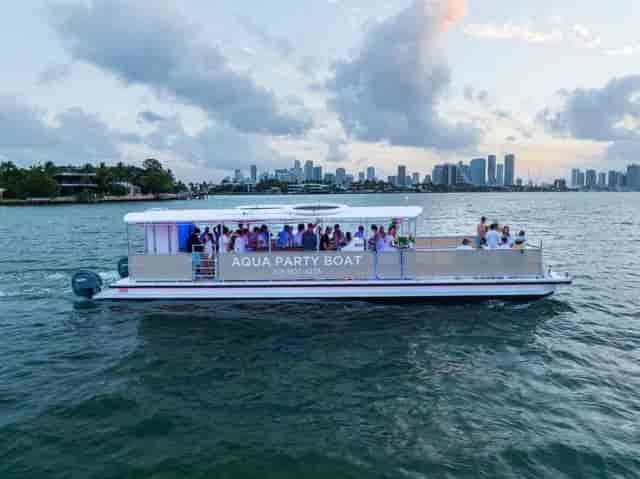 Aqua Party Boat - image 2