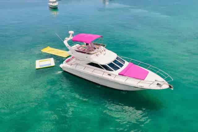 Feeling Yachty - image 2