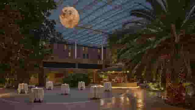 Sheraton Skyline Hotel