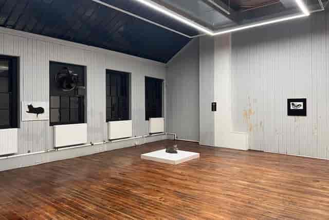 YveYANG Gallery - image 2