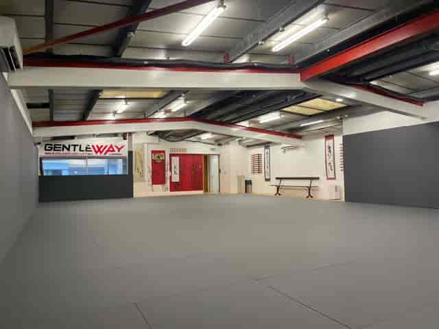 BJJ ART UK - image 3