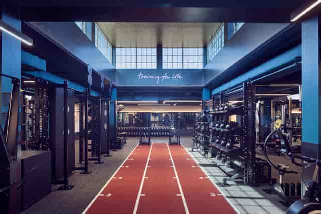 Wellness & Wilde - image 2