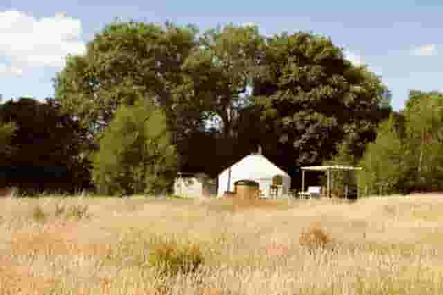 Ceremony Yurt