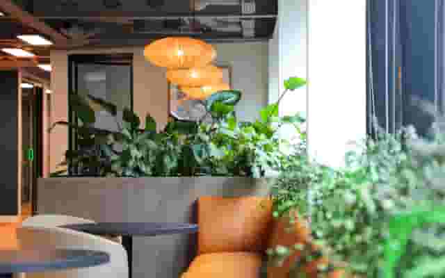 Ground Floor Entrance/Reception