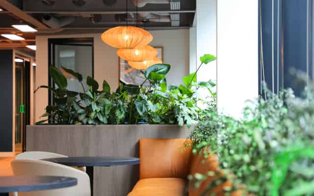 Ground Floor Entrance/Reception