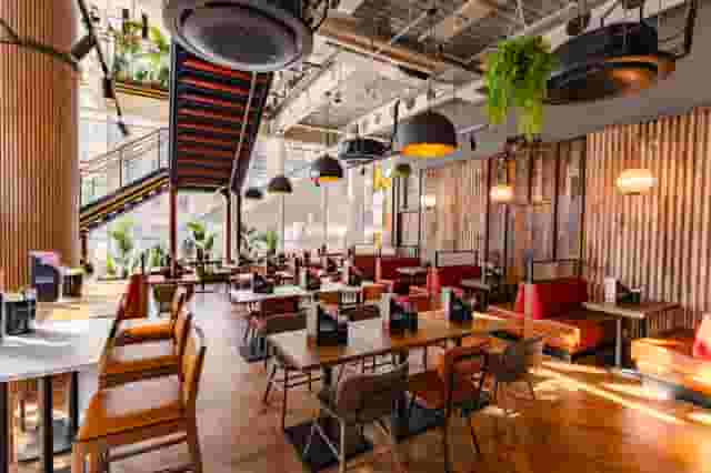 The Ironwood