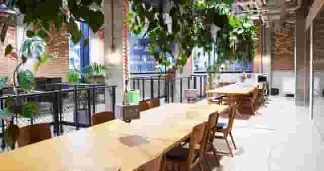 London Fields Bottega Ltd